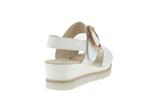 44645  21 blanc - Photo