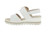 44645  21 blanc - Photo