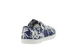 basic 02  bue tropical - Photo