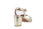 1232@  platine - Photo