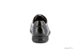 8498  noir - Photo