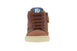 3411  138 cognac - Photo