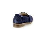 hadele velours indigo p5144474 - Photo