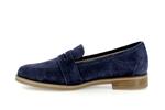 hadele velours indigo p5144474 - Photo