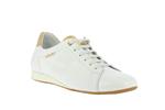 bessy  blanc p5132932 - Photo