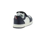 33340  blue white - Photo