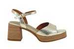 6010  platine - Photo