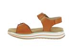 d1j51  38 orange - Photo