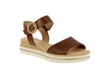 42082  53 camel - Photo