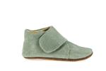 taca  vert - Photo