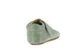 taca  vert - Photo