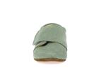 taca  vert - Photo