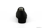 labrode  noir - Photo