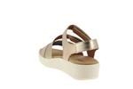 63600  34 champagne - Photo