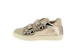 abeille velcro  024 ivoire - Photo