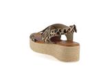 2041  leopard - Photo