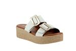 2175  blanc champan - Photo