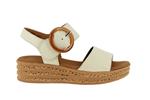 64550  22 creme - Photo