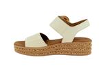 64550  22 creme - Photo