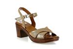 maimbeville melle ana camel - Photo