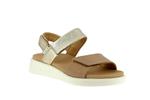21401  11 sand platine - Photo