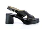 9333  noir - Photo
