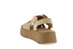 64752  14 caramel - Photo