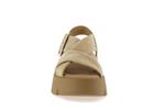 64752  14 caramel - Photo
