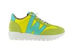 racer combinacion cyber lagon - Photo