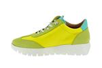 racer combinacion cyber lagon - Photo