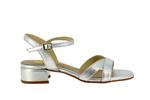 1032 galaxy argent - Photo