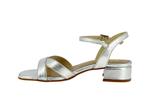 1032 galaxy argent - Photo
