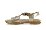 calista bay backstrap  gold metallic a2r2t - Photo