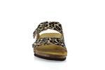 rousquille  leopard - Photo