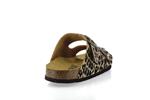 rousquille  leopard - Photo
