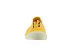 102e  golden 650 - Photo