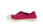 470e  fuchsia 612 - Photo