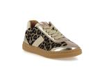 autop  011 leopard - Photo