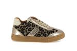 autop  011 leopard - Photo