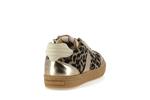 autop  011 leopard - Photo