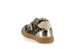 autop  011 leopard - Photo