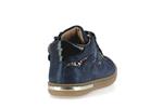 anvole  002 blu 7152 - Photo