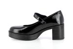 9588 verni noir - Photo