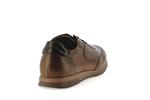 f2265  camel - Photo