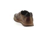 f2265  camel - Photo