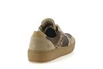 d2t01  61 beige - Photo