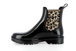 gaudi brillo animal noir leopard - Photo