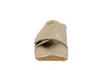 taca  cuir or - Photo