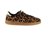 alley  leopard - Photo