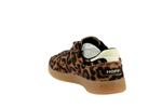 alley  leopard - Photo